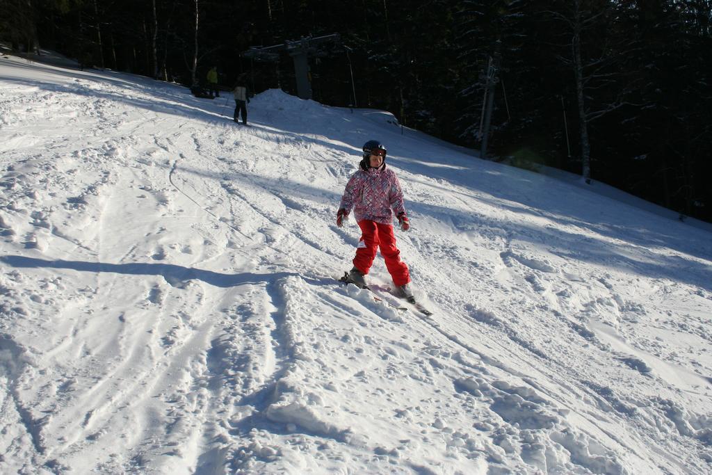 Penzion Pampeliska Pec pod Snezkou Exterior photo